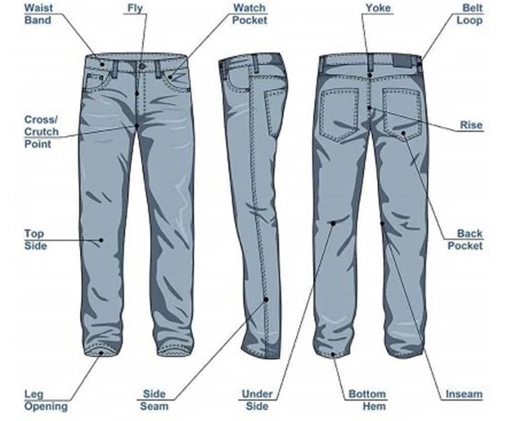 Components of a Basic Pants
