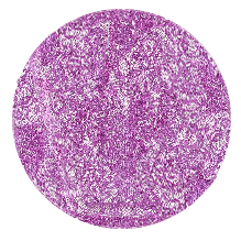 5-fabric A8 Lace-
